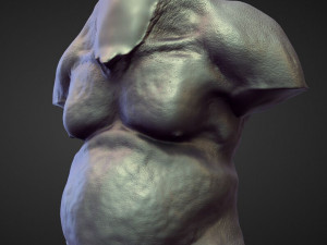 45 TORSOS high poly sculpts Model 3D