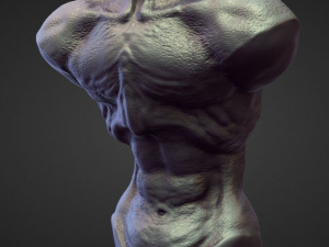 45 TORSOS high poly sculpts Model 3D