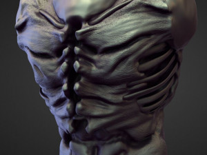 45 TORSOS high poly sculpts Model 3D