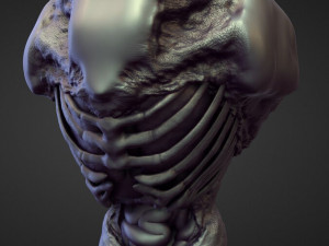 45 TORSOS high poly sculpts Model 3D