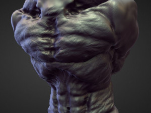 45 TORSOS high poly sculpts Model 3D