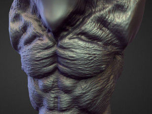 45 TORSOS high poly sculpts Model 3D