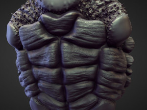 45 TORSOS high poly sculpts Model 3D