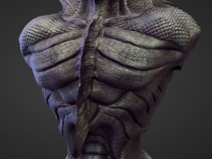 45 TORSOS high poly sculpts Model 3D