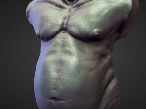 45 TORSOS high poly sculpts Model 3D