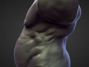 45 TORSOS high poly sculpts Model 3D