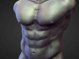 45 TORSOS high poly sculpts Model 3D