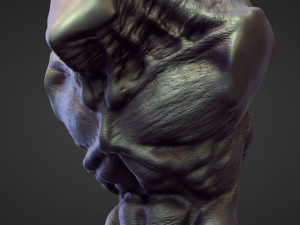 45 TORSOS high poly sculpts Model 3D