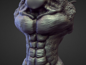 45 TORSOS high poly sculpts Model 3D
