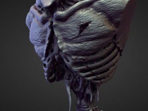 45 TORSOS high poly sculpts Model 3D