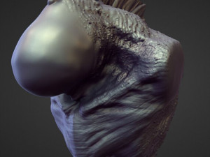 45 TORSOS high poly sculpts Model 3D