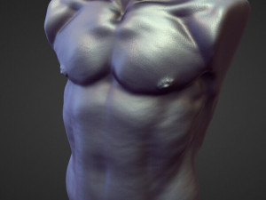 45 TORSOS high poly sculpts Model 3D