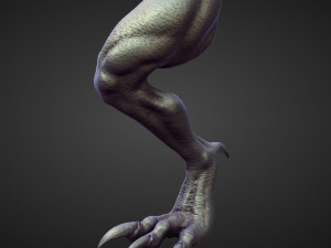 45 LEGS high poly sculpts Modelo 3D