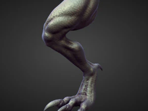 45 LEGS high poly sculpts 3D Model