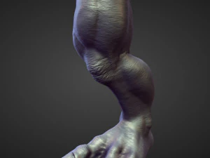 45 LEGS high poly sculpts 3D Model