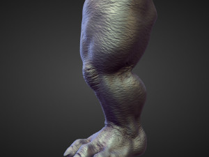 45 LEGS high poly sculpts Modelo 3D