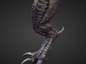 45 LEGS high poly sculpts Modelo 3D