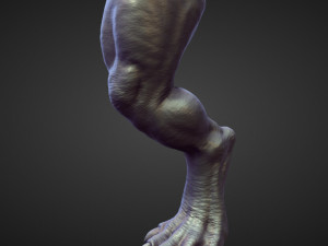 45 LEGS high poly sculpts Modelo 3D