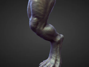 45 LEGS high poly sculpts 3D Model