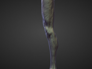 45 LEGS high poly sculpts Modelo 3D