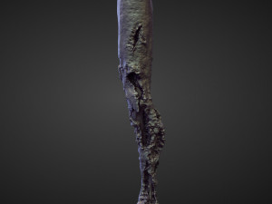 45 LEGS high poly sculpts Modelo 3D