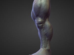 45 LEGS high poly sculpts Modelo 3D