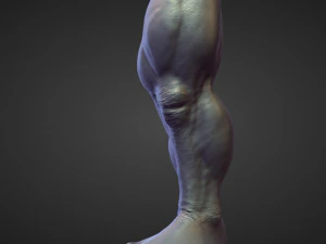 45 LEGS high poly sculpts 3D Model