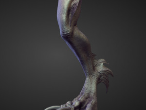 45 LEGS high poly sculpts Modelo 3D