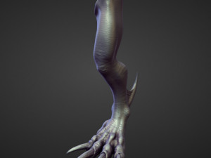 45 LEGS high poly sculpts Modelo 3D