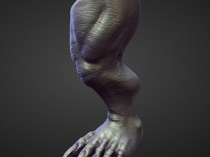 45 LEGS high poly sculpts Modelo 3D
