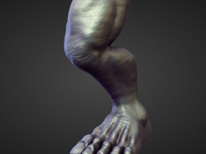 45 LEGS high poly sculpts Modelo 3D
