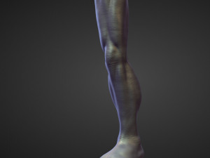 45 LEGS high poly sculpts Modelo 3D