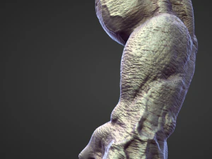 ARM3 hoog polysculptuur 3D Model