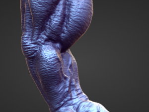 ARM3 high poly sculpt Modelo 3D