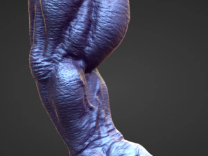 ARM3 high poly sculpt 3D Model