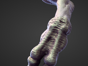 ARM9 high poly sculpt 3Dモデル