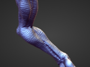 ARM9 high poly sculpt 3Dモデル