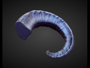 45 HORNS high poly sculpts Model 3D