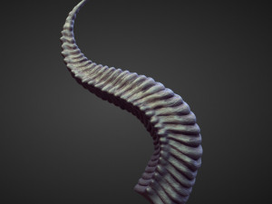 45 HORNS high poly sculpts Model 3D