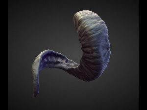 45 HORNS high poly sculpts Model 3D