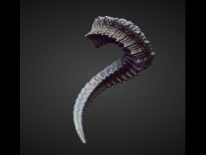 45 HORNS high poly sculpts Model 3D