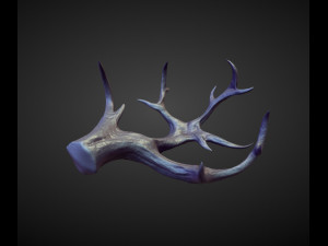 45 HORNS high poly sculpts Model 3D