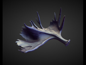 45 HORNS high poly sculpts Model 3D