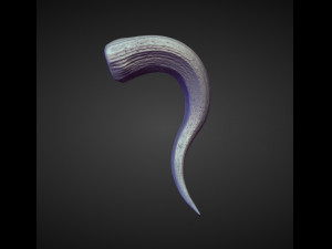 45 HORNS high poly sculpts Model 3D