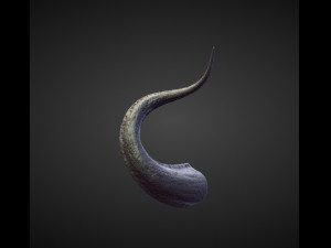 45 HORNS high poly sculpts Model 3D