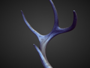 45 HORNS high poly sculpts Model 3D