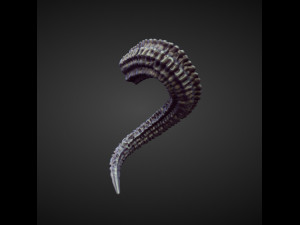 45 HORNS high poly sculpts Model 3D