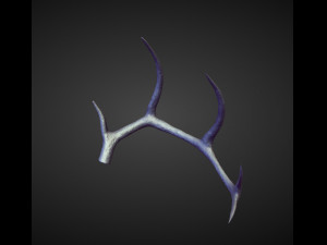 45 HORNS high poly sculpts Model 3D