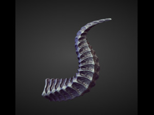 45 HORNS high poly sculpts Model 3D