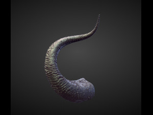 45 HORNS high poly sculpts Model 3D
